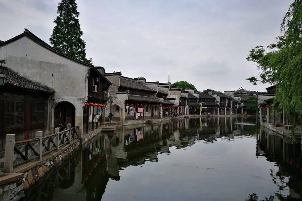 拯救枯树